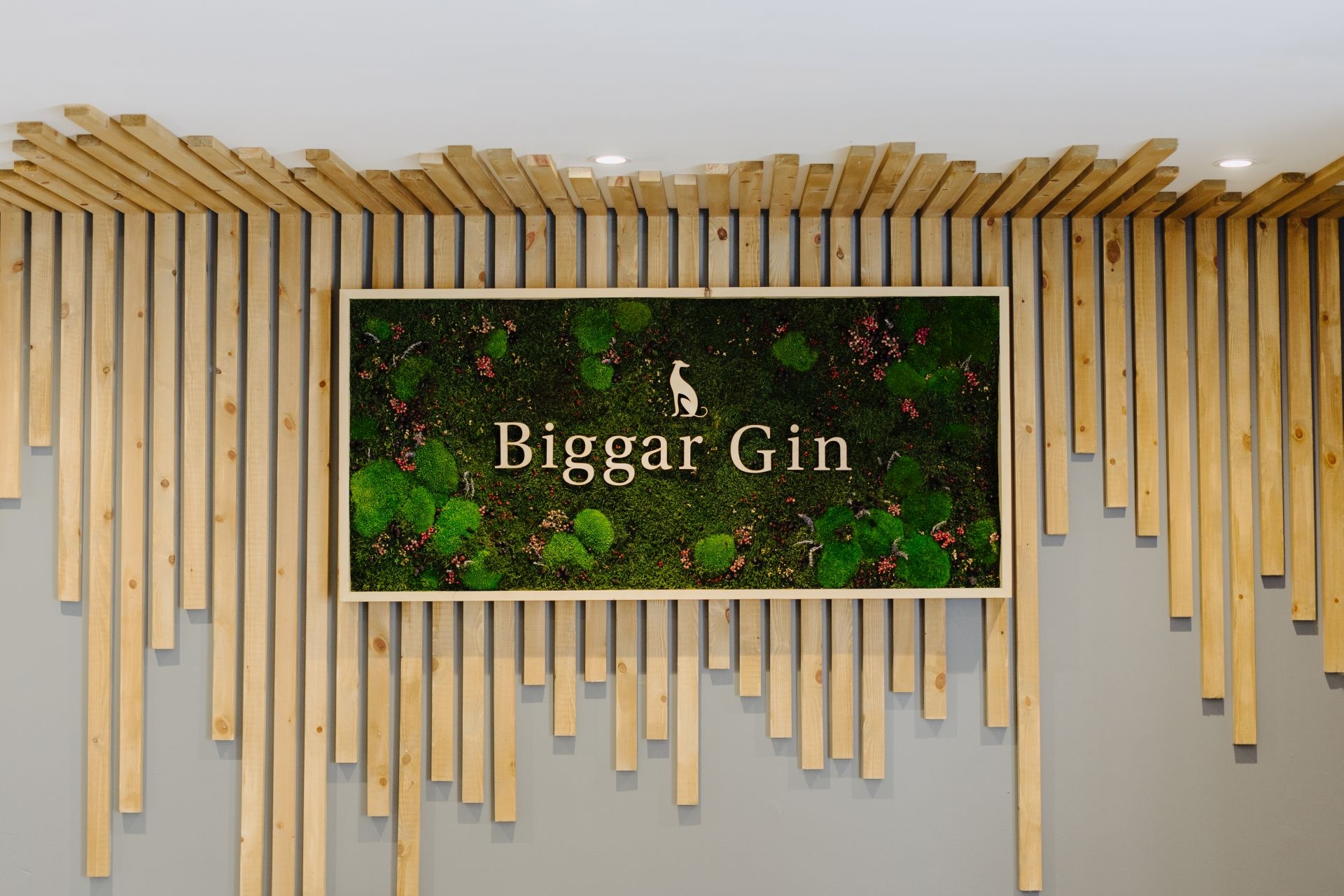 Biggar Gin Process 50